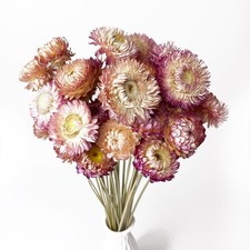 100 Natural Daisy Flowers Dried Flower Bouquets-30Pcs Pink Daisies Chrysanth...