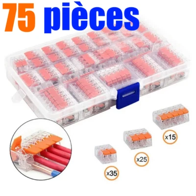 Borne Domino Wago Connexion Bornier Connecteur Fil Electrique souple rigide PCT