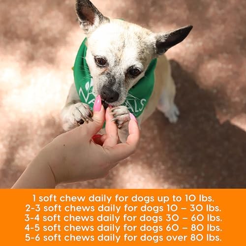 ARK NATURALS Gray Muzzle Old Dogs! Happy Joints! Vet Recommended to Support - Picture 7 of 8