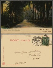 FLORIDA Ocala VINTAGE POSTCARD