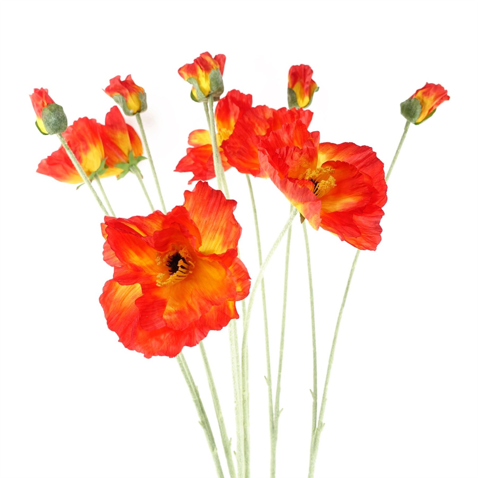 B&Q -  Pack Of 6 X 100Cm Artificial Poppy Stem2 Flowers - Image 3