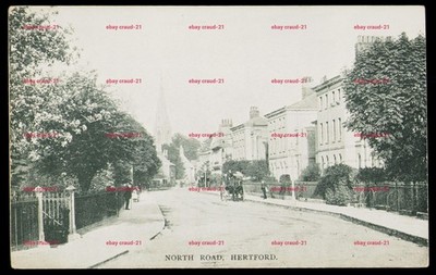 North Road Hertford von Bäumen gesäumte Straßenszene frühe Echtfoto-Postkarte