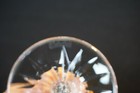 Bild 5 von 5