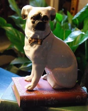 Antique STAFFORDSHIRE PORCELAIN PUG DOG FIGURINE Gold Bow Tie VICTORIAN Large