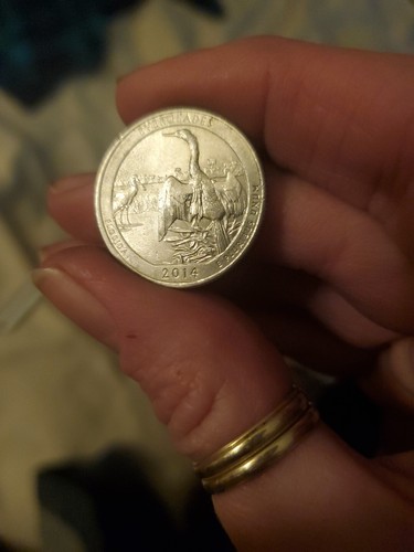 2014 D Florida EG Quarter Double Strike Ring Mint ERROR Through Writing Rare!! - Picture 4 of 4