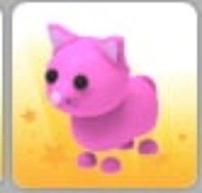 Pink Cat  Adopt Now