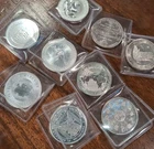 10 Ounces of Pure .999 Silver Rounds