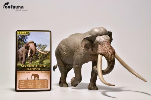 Eofauna 1/35 Elefante Zanne Dritte Animale Figura da Collezione Paleoloxodon Giocattolo - Foto 9 di 12