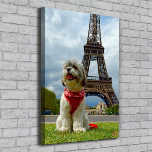 Tableau Décoratif Tulup Tour Eiffel Paris - Verre Trempé 70x100 Cm, Noir Et Blanc, Moderne