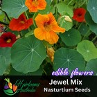NASTURTIUM 'JEWEL MIX' 10 Seeds flower garden EDIBLE FLOWERS,  COMPANION PLANT