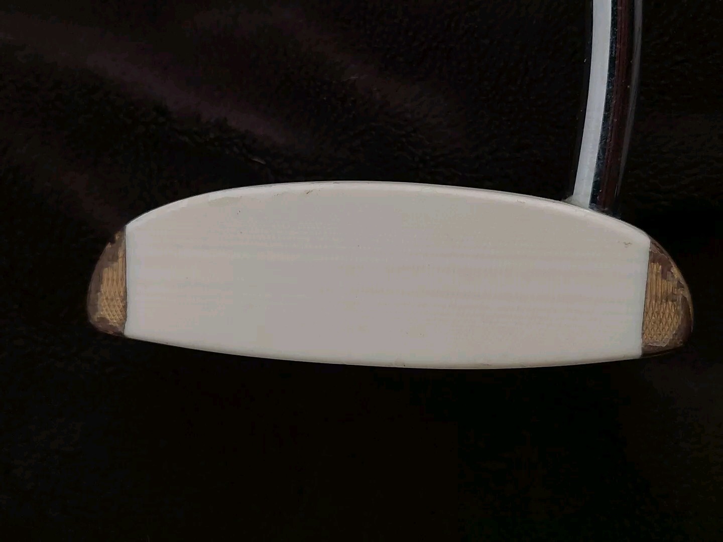 Picture 20 of 20
