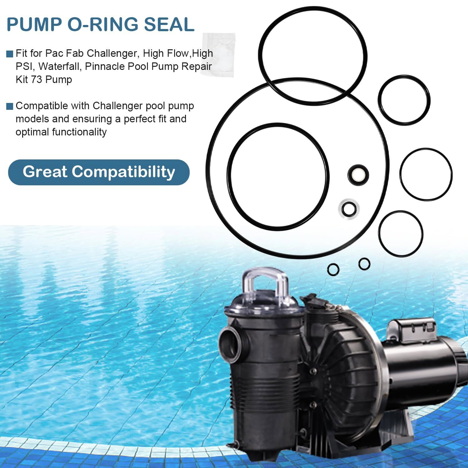 O-Ring Seal Repair Rebuild Kit Fit for Pentair Challenger Waterfall Pump 355329