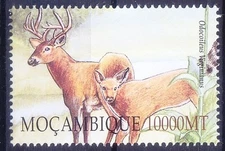 White-tailed deer (odocoileus virginianus) Wild Animals, Mozambique 2002 MNH 