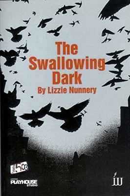 Lizzie Nunnery The Swallowing Dark (Taschenbuch)