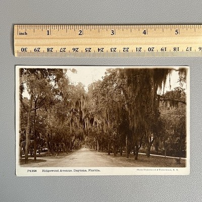 1914 Daytona FL Ridgewood Avenue Spanish Moss Underwood & Under Postcard P1358