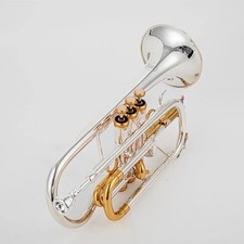 High-Quality TR-187SML BB Cornet Silver Plated Cornet Horn Brass Instrument 
