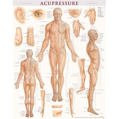 BarCharts 9781423222651 Acupressure-Laminated