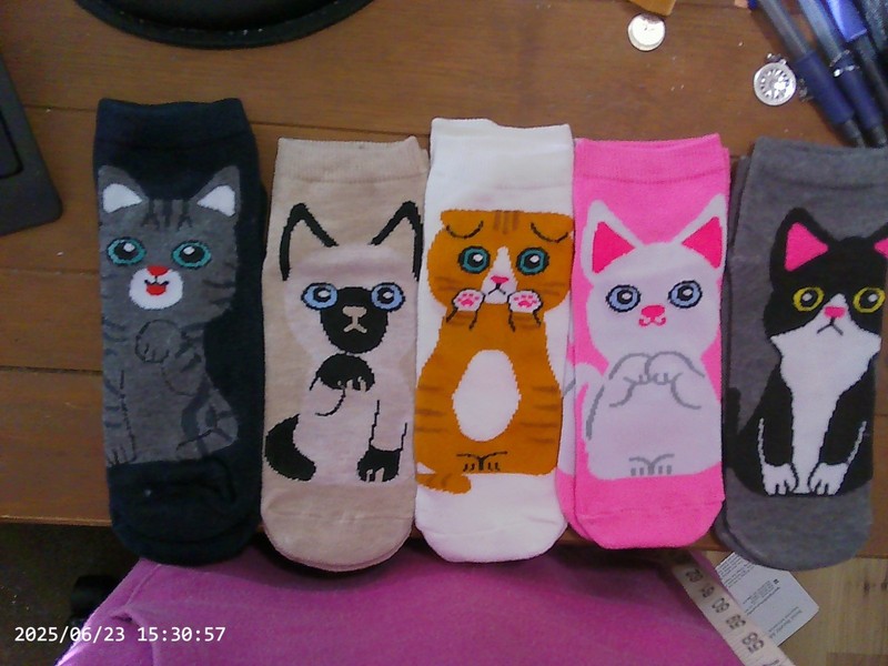 New 5 Pairs Of Women's Cat Ankle Socks Size 7-9 Various Breeds Of Cats