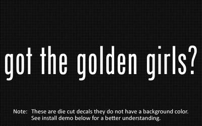 The Golden Girls' Hit Song (Vinyl in Sleeve) - Plaid Design