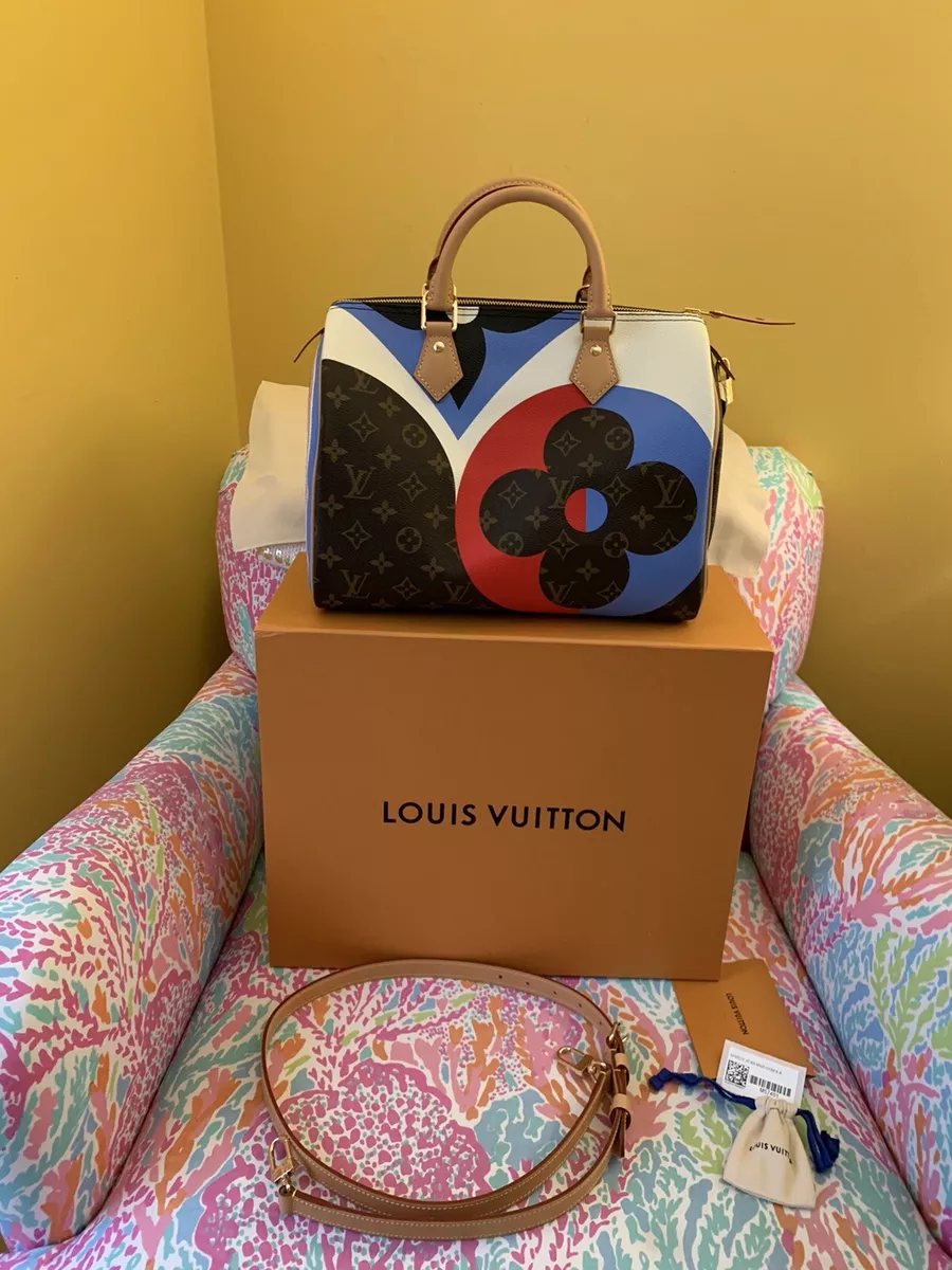 Louis Vuitton Speedy 30 Monogram Handbag