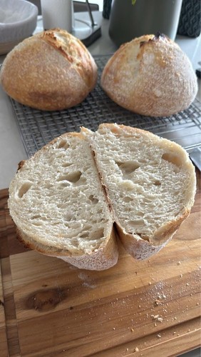 GLUTEN FREE Organic Sourdough Bread Starter San Francisco - EASY - 240+yrs old! - Picture 6 of 7