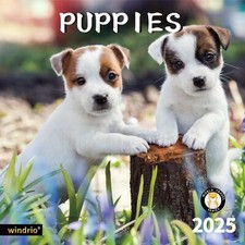 2025 Wall Calendar Puppy Dog 12x24in Jan-Dec Sturdy Paper for Planning Decor