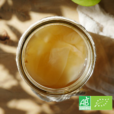 Culture de Kombucha Bio - Madame Ferment
