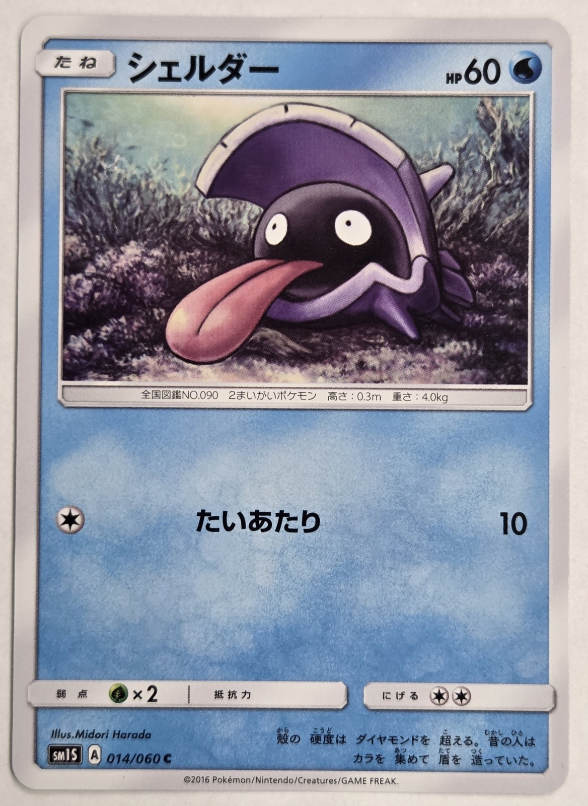 Shellder 014/060 SM1S Collection Sun Japanese Pokémon Card TCG 2016