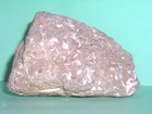 ANCIENT FOSSIL ROCK--UNIQUE & ONE OF A KIND--FROM CALIFORNIA — photo 5