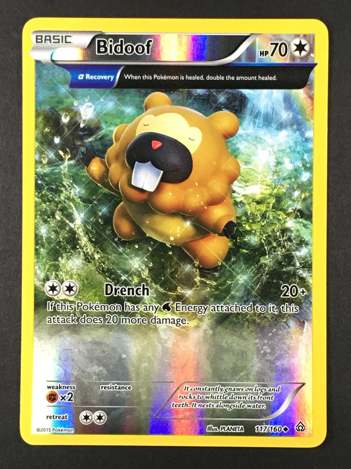 Pokemon TCG Bidoof 117/160 Primal Clash Reverse Holo Uncommon LP