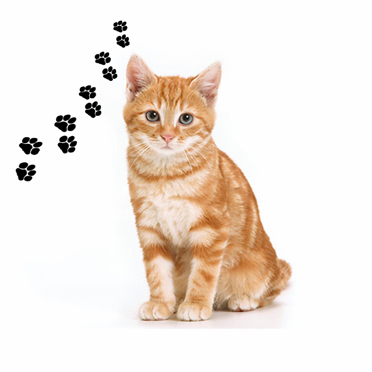 Открывалка для банок Andreas с круглым силиконовым ковриком, Оранжевый полосатый кот, 6,25 дюйма