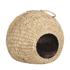 toy poodle breed standard