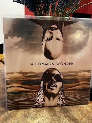 AMERIGO GAZAWAY - A COMMON WONDER (VINYL 2LP)  2017  RARE!!  Stevie X Common