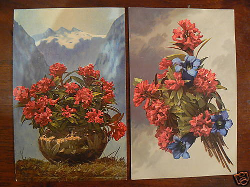 lot de 2 cpa illustrateur fleur de montagne pot 9 - Photo 1/1
