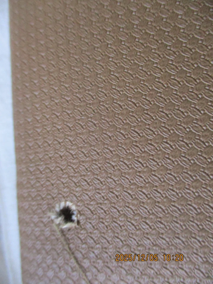 CHEVROLET IMPALA 1969, CAPRICE MARRÓN PARASOL DERECHO NUEVO EN STOCK-PT NO 8765344 Foto 4 de 4