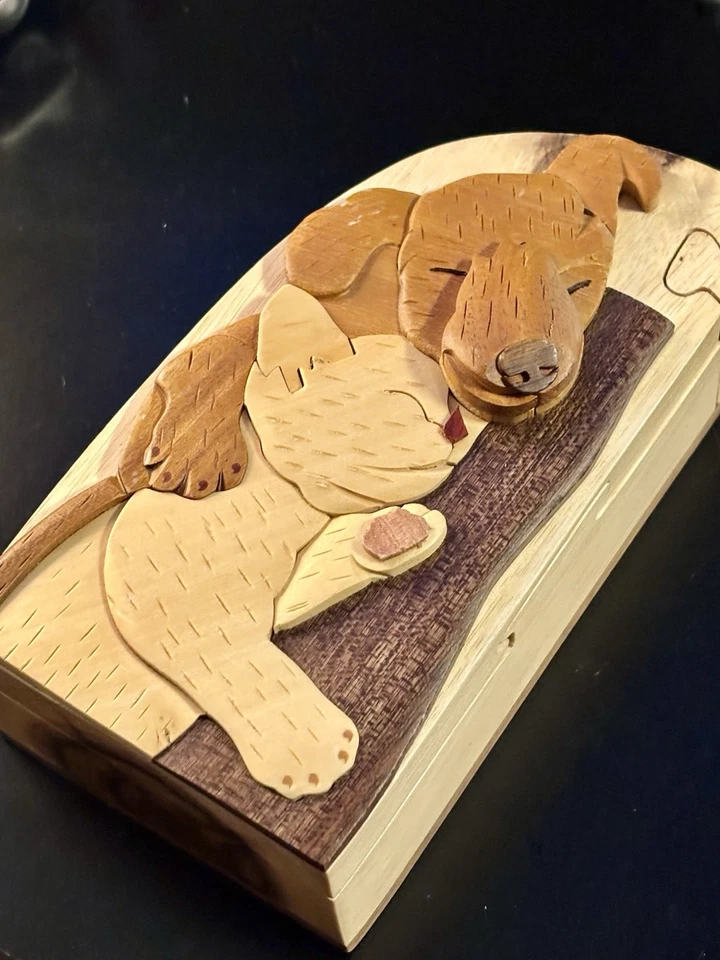 Caja rompecabezas Carver Dan's Best Friends con cierres magnéticos Foto 3 de 4