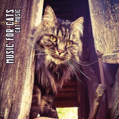 MUSIC FOR CATS CAT MUSIC (LTD.DIGI) COMPACT DISC DIGI