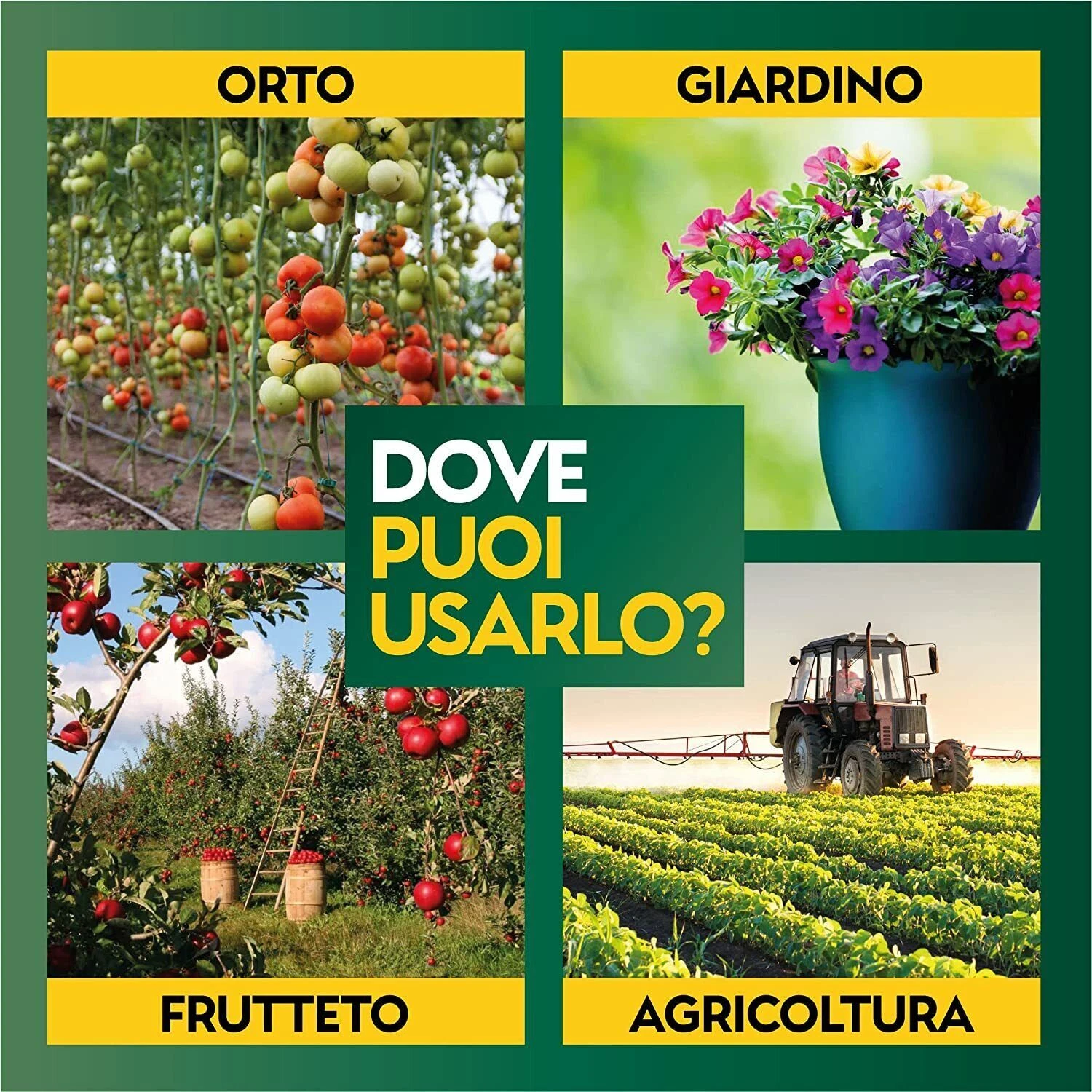 Foto 5 di 7