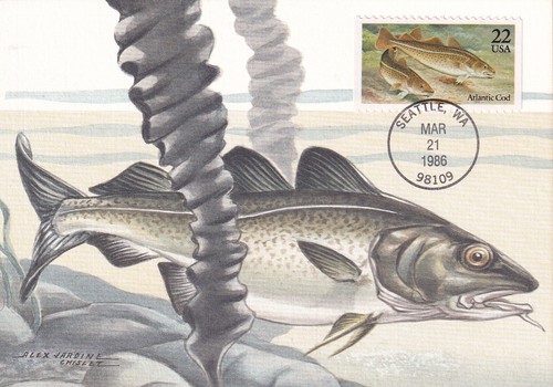 USA 1986 FIVE FIRST DAY COVERS ON MAXI CARD, FISH - Picture 3 of 10
