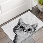 Durable Door Mat Outdoor Cat - Dirt Trapping Welcome Mats - Low Profile Front...