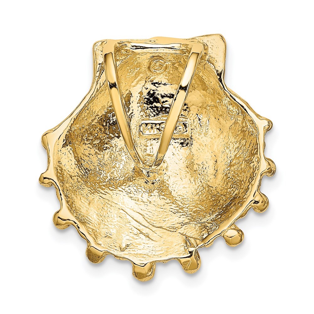 14k Yellow Gold Small Lion's Paw Shell Slide Perfect Gift for Her