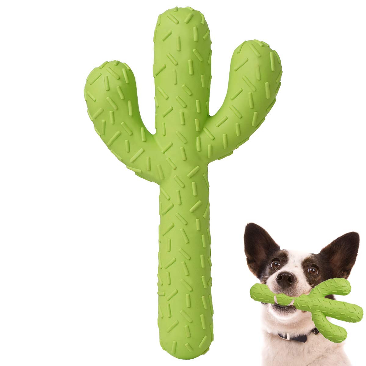 Dog Chew Toys, Tough Rubber Dog Toys for Aggressive Chewers, Cactus Dog Toys ...