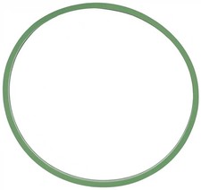 Ansaugkrümmer-Dichtung Drosselklappengehäuse FPM (Fluor-Kautschuk) 895.580