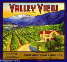 Claremont Los Angeles County Valley View Orange Citrus Fruit Crate Label Print