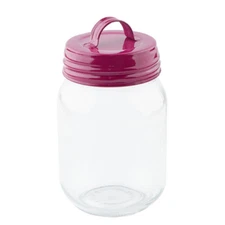 Factory Direct Craft Small Mouth Decorative Mason Jar with Fuchsia Handled 