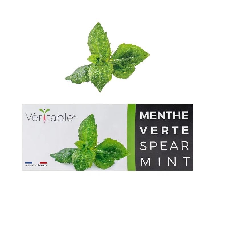 Ricarica Giardino interno Veritable menta verde