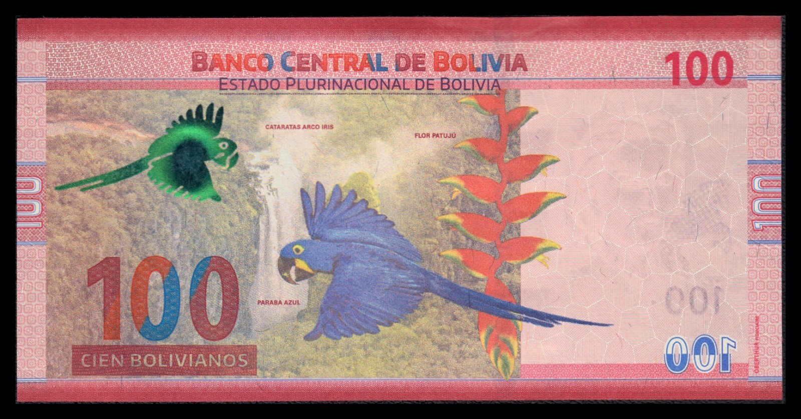 Imagen 3 de 6