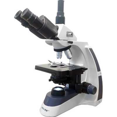 Velab VE-T2 INT Triocular Biological Microscope, Siedentopf, 5.51  x 5.19 