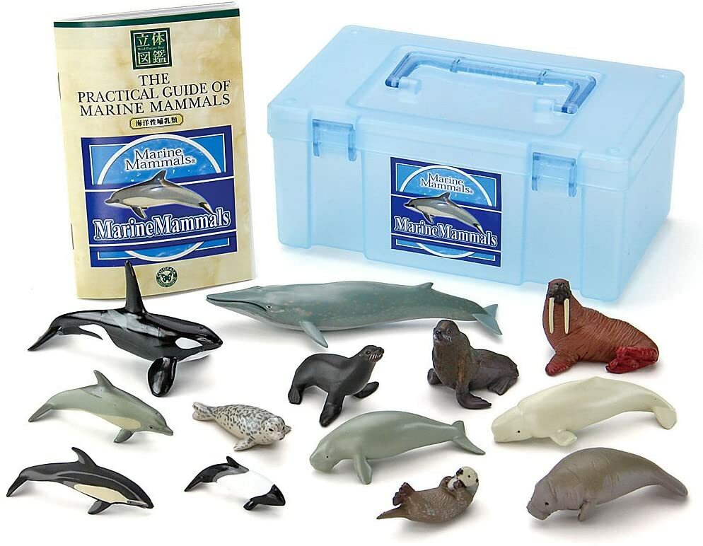 Colorata Real Figure Marine Mammals BOX New Japan F/S w/T | eBay