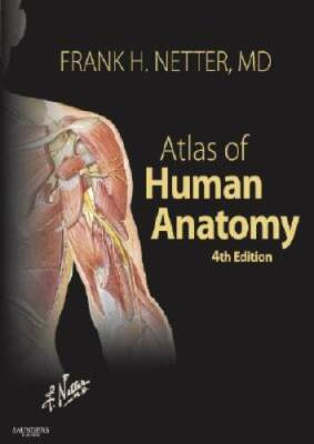 #ad Atlas of Human Anatomy 4th Edition Netter Basic Science VERY GOOD $7.82